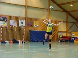 Volleyball is my job!