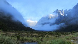Fiordland on the way to Milford Sound...one of the most beautiful drives I've ever been on