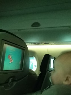 Traveling with baby, watching a video in the plane
