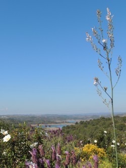 Azulejos in Alcoutim