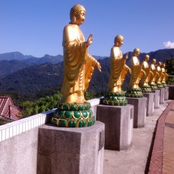 Got lost in the mountains and found these guys.