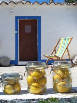 Lemons, lots of lemons