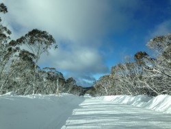 There is actually snow in Australia and the skiing is not too bad either