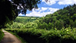 Typical Eifel countryside.