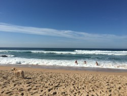 Amazing Guincho Beach - end of October!
