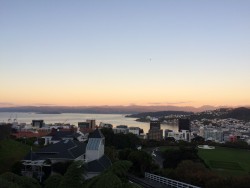 Wellington at sunset