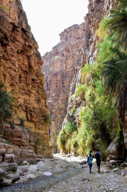 Wadi Kerak